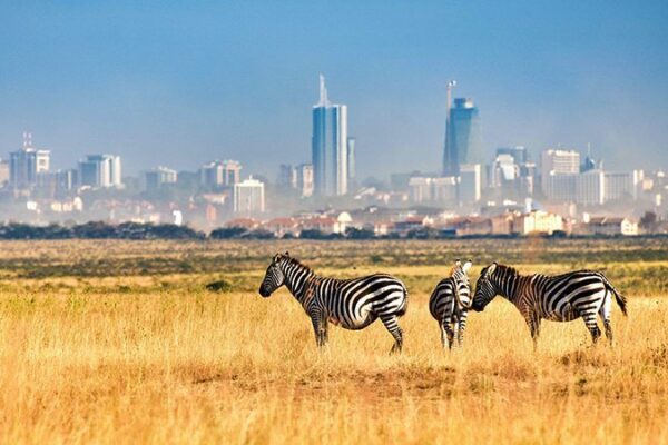 6 Days / 5 Nights Nairobi-Masai Mara-Lake Nakuru Safari