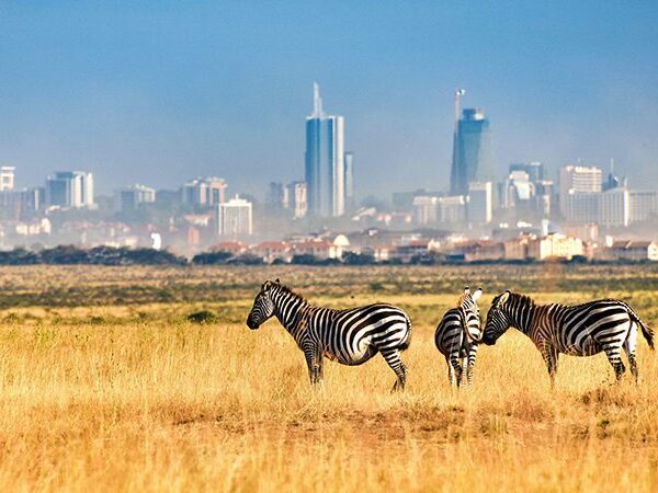 6 Days / 5 Nights Nairobi-Masai Mara-Lake Nakuru Safari
