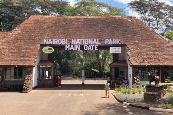 Nairobi National Park Half-Day Safari (Morning)